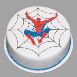 Spider Web Cake – Cake Farm